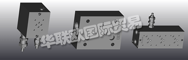 EUROFLUID Hydraulic是一家大型公司，專門生產(chǎn)液壓設(shè)備的歧管。