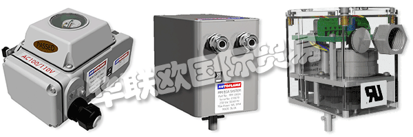 因此被視為AUTOFLAME公司和質(zhì)量管理體系的主要目標。