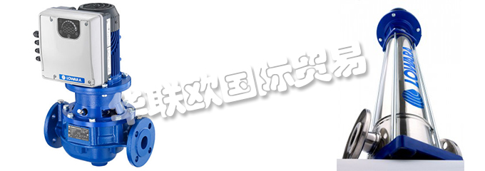 意大利LOWARA是一家專門生產(chǎn)不銹鋼泵的公司，他們提供的產(chǎn)品有：意大利LOWARA泵,、LOWARA水泵、循環(huán)器、端吸泵、多級泵、直列式泵、濕轉(zhuǎn)子循環(huán)器、變速泵、冷凝泵、自吸泵、潛水鉆孔泵、潛水污水和污水泵、潛水式脫水泵、外圍泵、泵控制器、驅(qū)動器、變頻器、控制器、壓力開關(guān)控制器。