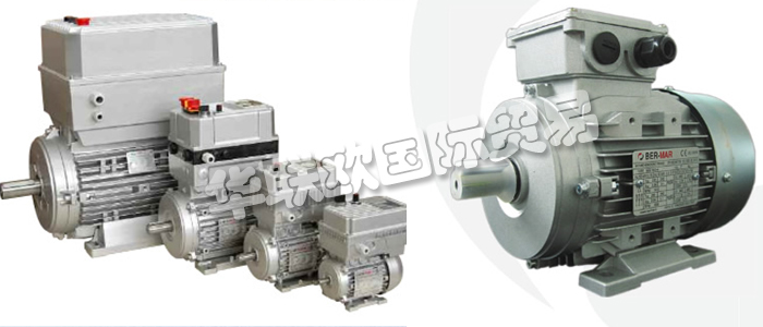 意大利BERMAR公司的主要產(chǎn)品包括：意大利BERMAR電機、BERMAR電動機、異步電機、異步電動機、永磁發(fā)動機、逆變器、伺服通風電動機、伺服電動機、工業(yè)洗衣機電動機、單相電動機、DRIVEJET鼓風機、高效電機、泵、風扇、工業(yè)壓縮機。